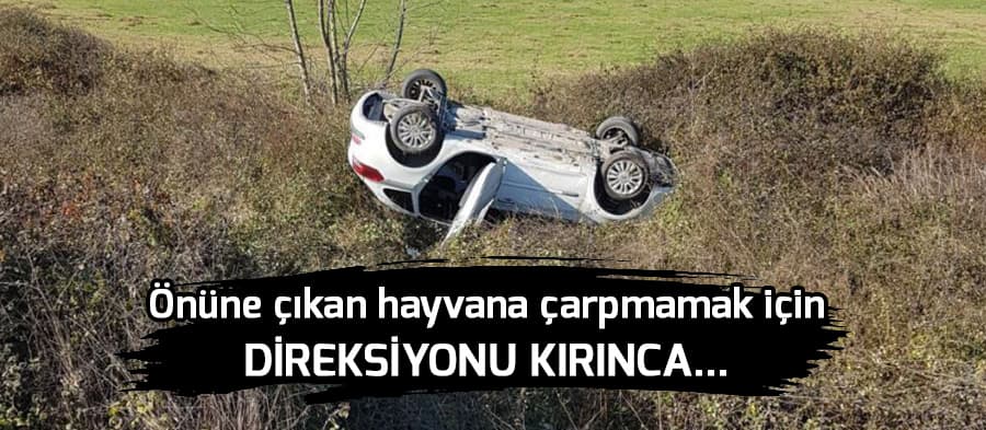 Hayvana Çarpmamak İçin Direksiyonu Kırdı, Takla Attı