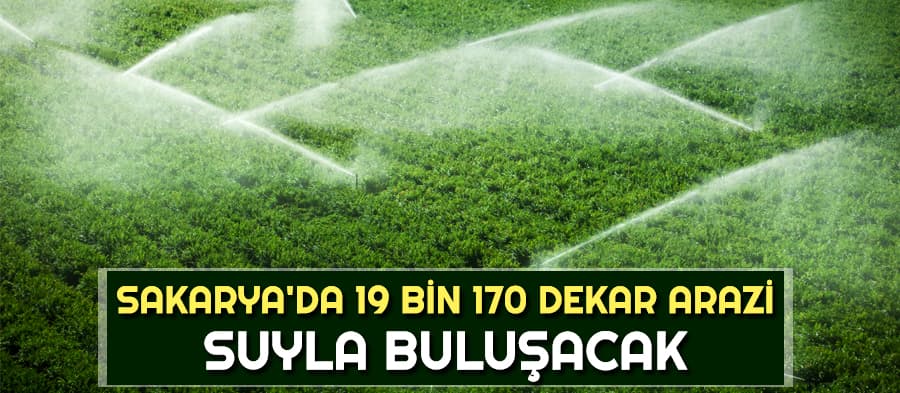 Sakarya'da 19 bin 170 dekar arazi suyla buluşacak