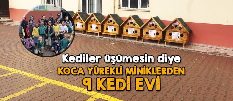 Kediler üşümesin diye...