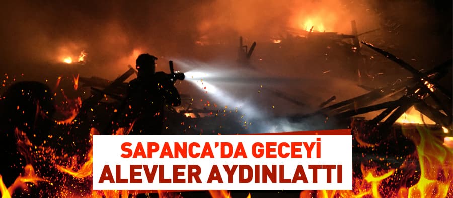 Sapanca'da yangın