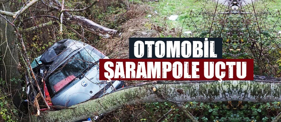 Otomobil şarampole uçtu: 2 yaralı