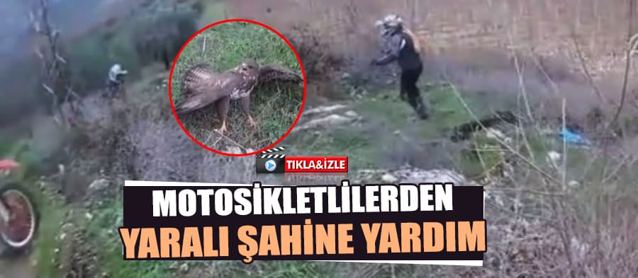 Motosiklet sporcularından şahine ilk yardım