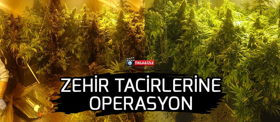 Üç ilçede uyuşturucu operasyonu