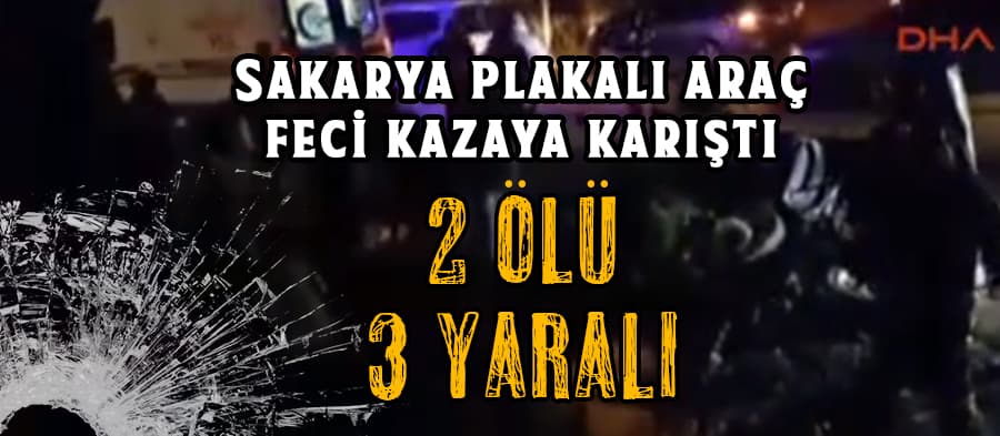 Sakarya plakalı araç feci kazaya karıştı