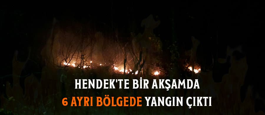 Hendek'te bir akşamda 6 ayrı bölgede yangın çıktı