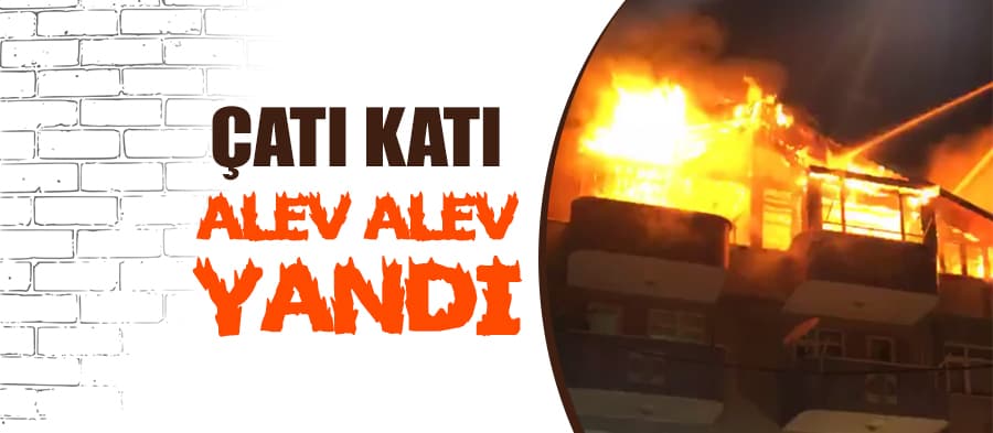 Karasu'da korkutan yangın