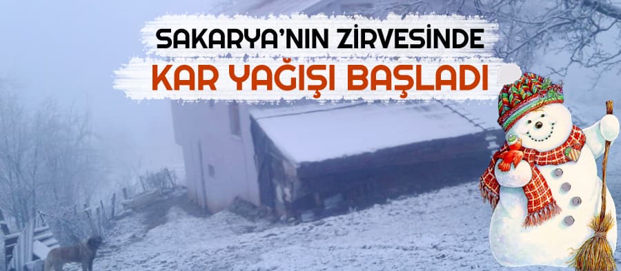 Sakarya'nın zirvesinde kar yağışı başladı