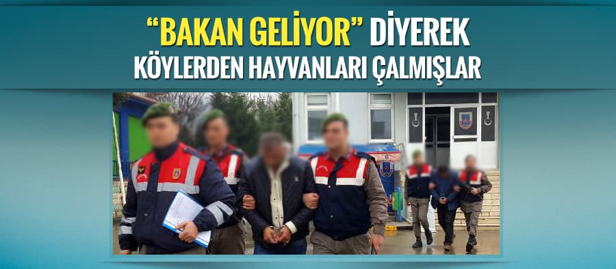 "Bakan geliyor" diye kandırıp, hayvanlarını çalmışlar