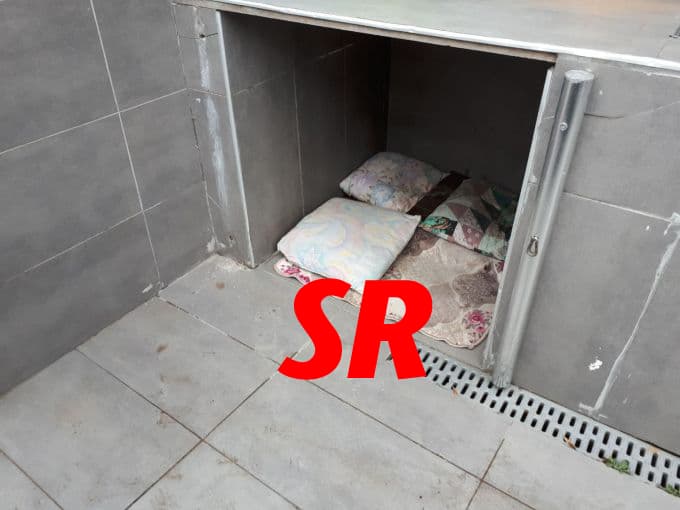 At arabalı hırsız, kameralara yakalandı