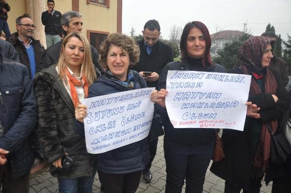 Bıçkıdere davasında vatandaşı üzen karar