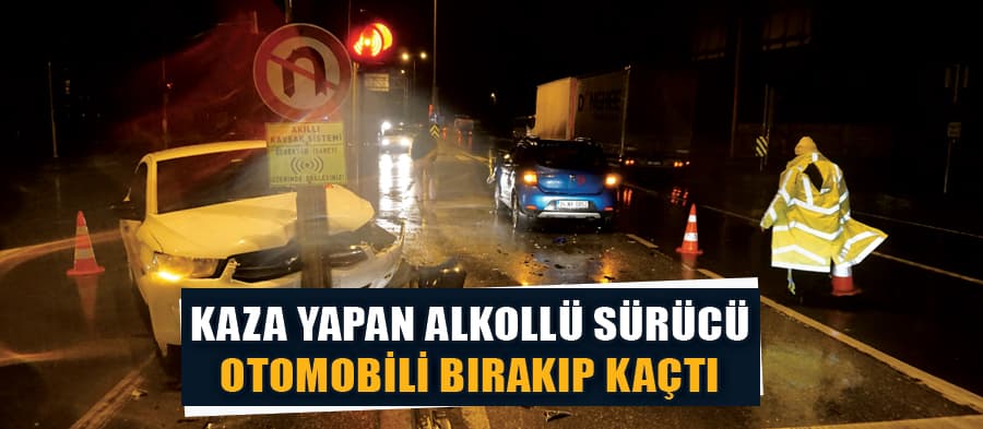 Alkollü sürücü kaza yaptı