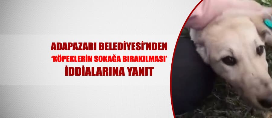 Köpeklerin sokağa bırakıldığı iddialarına yanıt