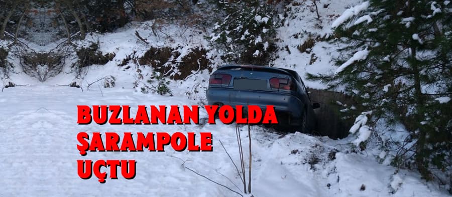 Otomobil şarampole uçtu