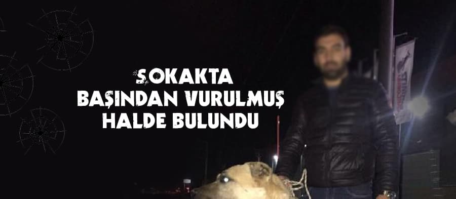 Sokakta başından vurulmuş halde bulundu
