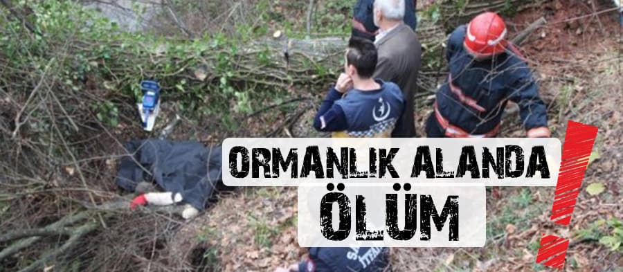 Ormanlık alanda ölüm