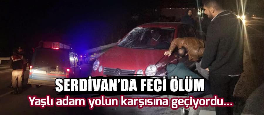 Yolun karşısına geçerken canından oldu