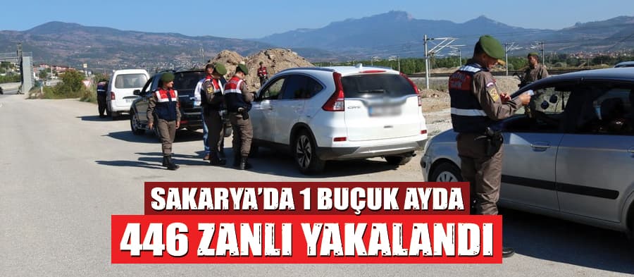 Sakarya'da 1,5 ayda 446 şüpheli yakalandı