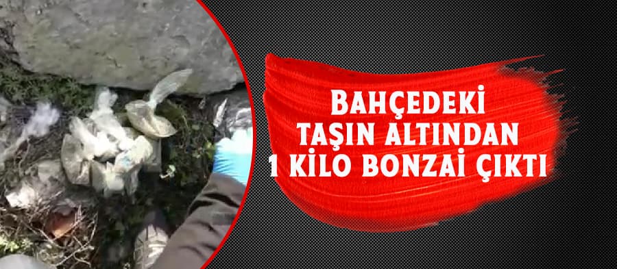 49 paket bonzai ele geçirildi