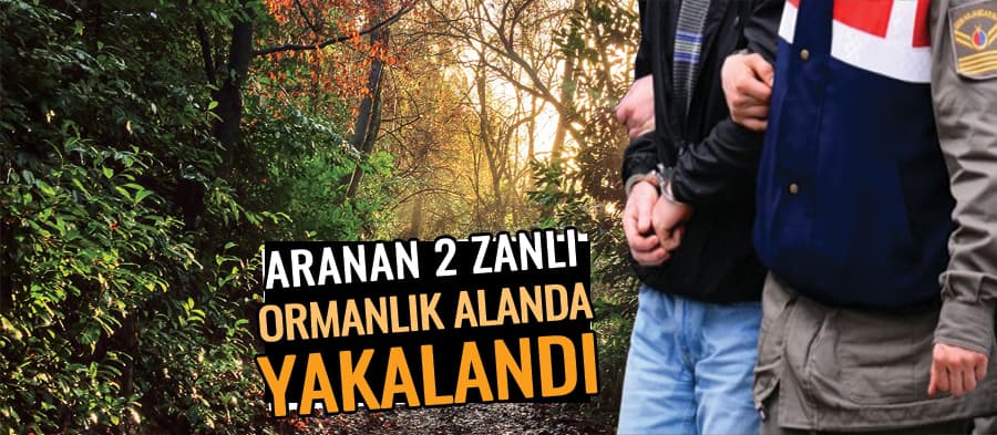 Bir süredir aranan iki şüpheli ormanlık alanda yakalandı