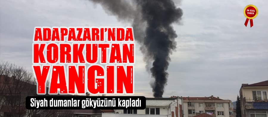 Adapazarı'nda korkutan yangın