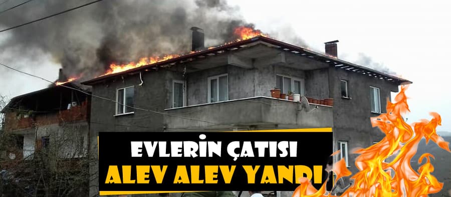 Karasu'da evlerin çatısı alev alev yandı