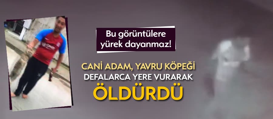Yavru köpeği işkence yaparak öldürdü
