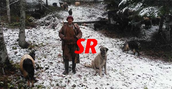 Dikmen beyaza büründü