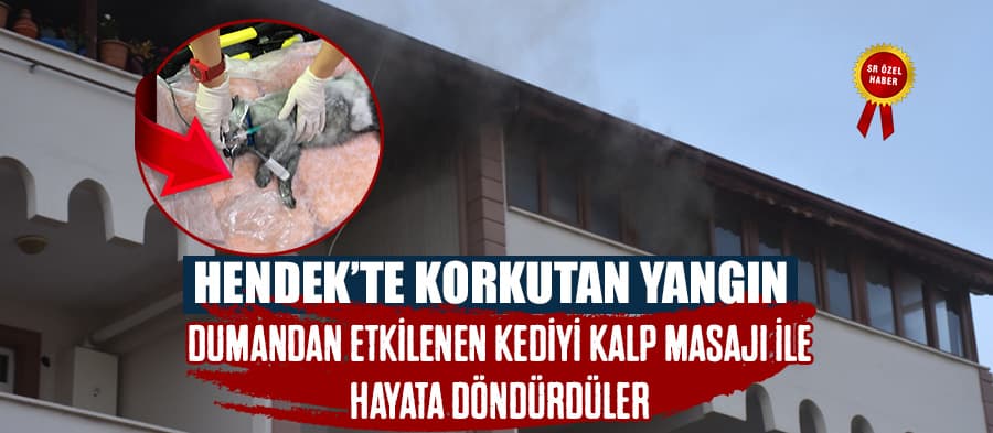 Hendek'te korkutan yangın