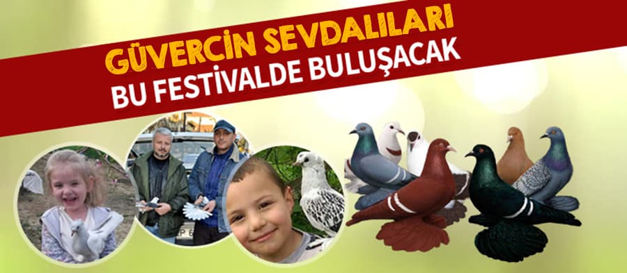 Güvercin sevdalıları bu festivalde buluşacak