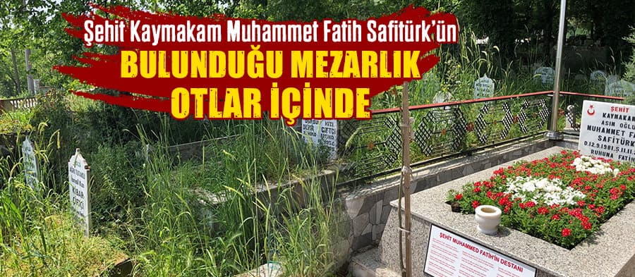 Şehit Kaymakam'ın bulunduğu mezarlık otlar içinde