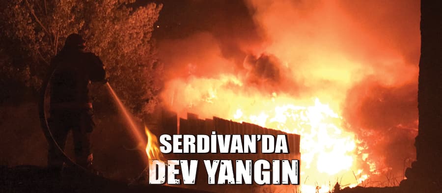 Serdivan'da dev yangın