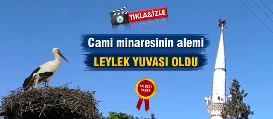 Minarenin alemi leyleklerin yuvası oldu