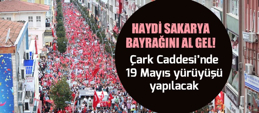 "Haydi Sakarya bayrağını al gel!"