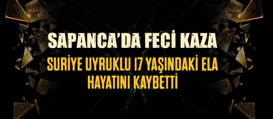 Sakarya'da feci kaza