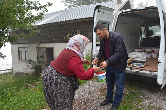 Dağ çileği sezonu açıldı