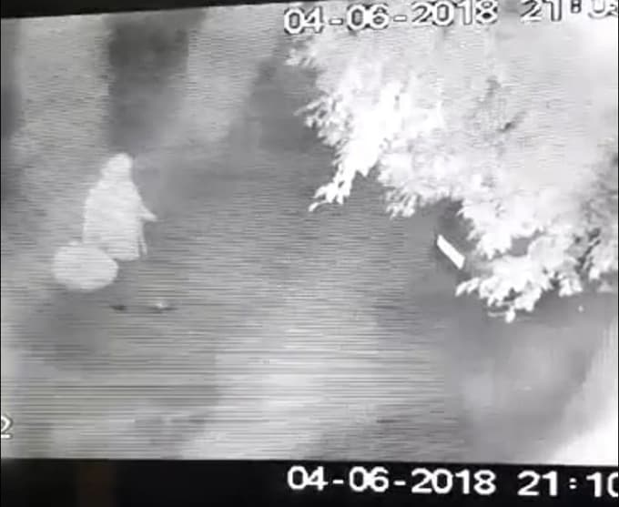 Yaşlı kadın, evin camındaki çiçekleri çaldı
