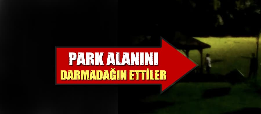 Gece gittikleri park alanını darmadağın ettiler