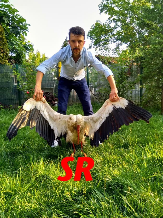Yıldırım, leyleğin yaralanmasına sebep oldu