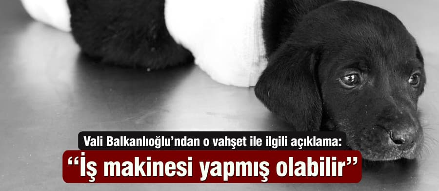 Vali Balkanlıoğlu'ndan, o vahşet ile ilgili açıklama