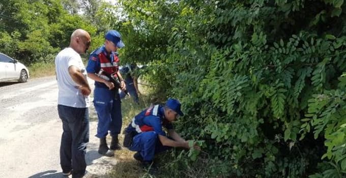 Yavru köpeğin ölümüne sebep olan operatör tutuklandı