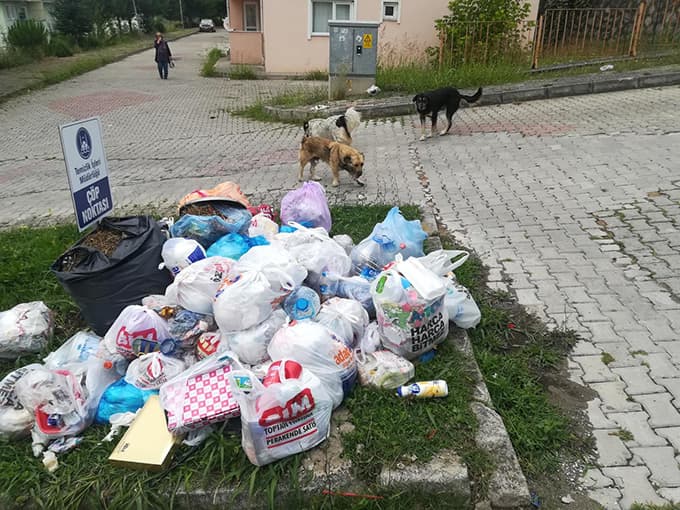 Vatandaşlar Karaman çöplerinden şikayetçi