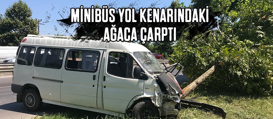 Minibüs yol kenarındaki ağaca çarptı: 4 yaralı 
