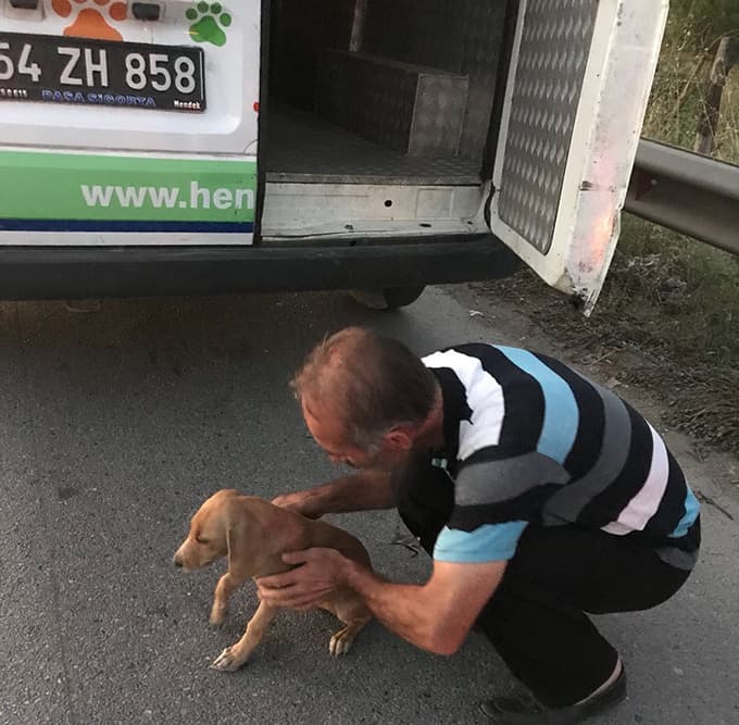 Duyarlı vatandaş yaralı köpeği kurtardı