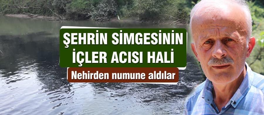 Balık ölümleri sonrası Sakarya Nehri'nden numune alındı