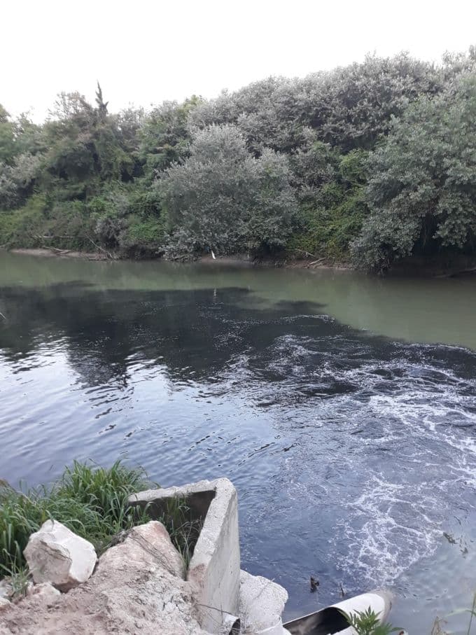 Balık ölümleri sonrası Sakarya Nehri'nden numune alındı