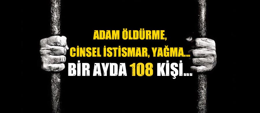 Bir ayda 108 şüpheli şahıs yakalandı 