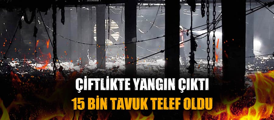 Çiftlikte yangın çıktı, 15 bin tavuk telef oldu