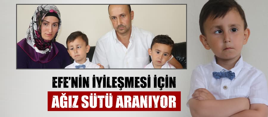Minik Efe'nin iyileşmesi için "ağız sütü" aranıyor 