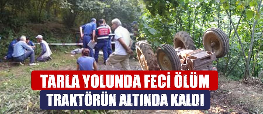 Tarla yolunda feci ölüm

