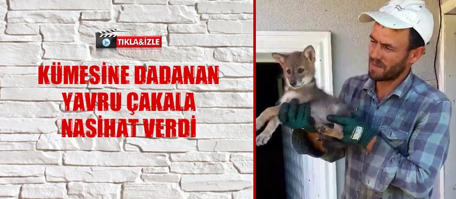 Sakaryalı çiftçiden alkışlanacak davranış